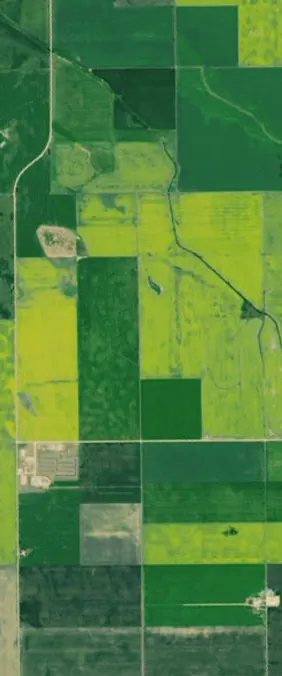 Regina, Saskatchewan, Canada forms the letter L in Landsat imagery