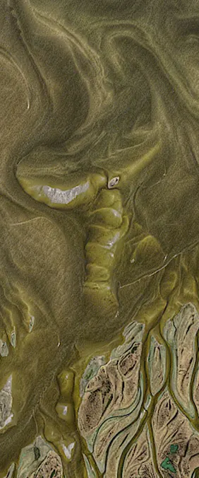 Lena River Delta forms the letter T in Landsat imagery