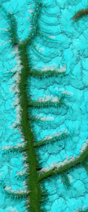 Firn-filled Fjords, Tibet forms the letter E in Landsat imagery
